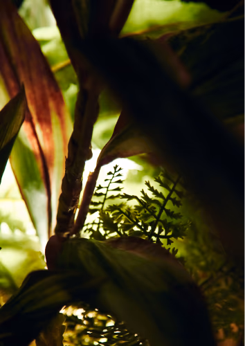 都会の中の静かな空間イメージ3